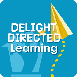 Delight Directed Learning (Online training)

